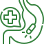 endoscopy